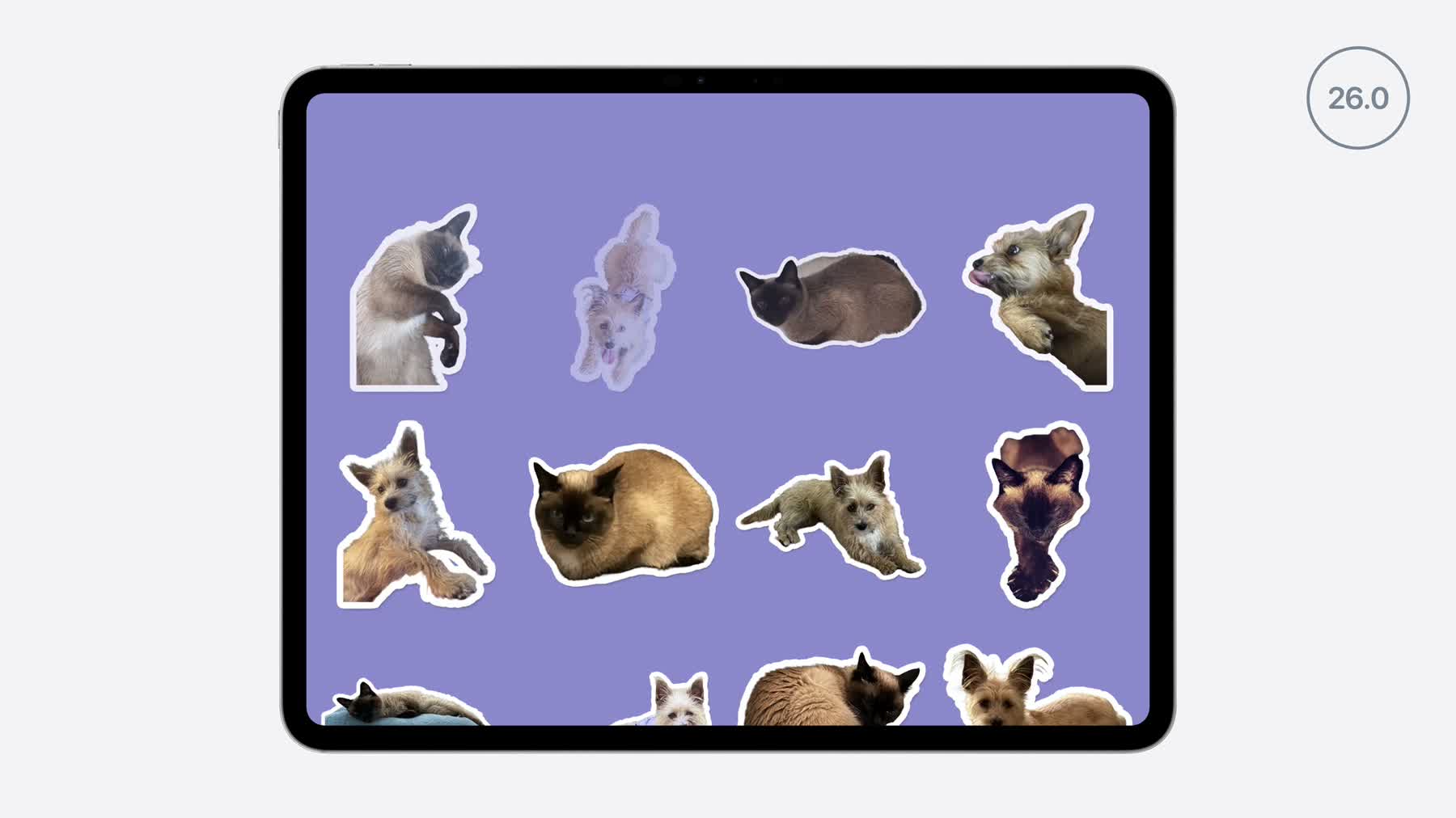 WWDC26 SwiftUI iPad collection demo screen