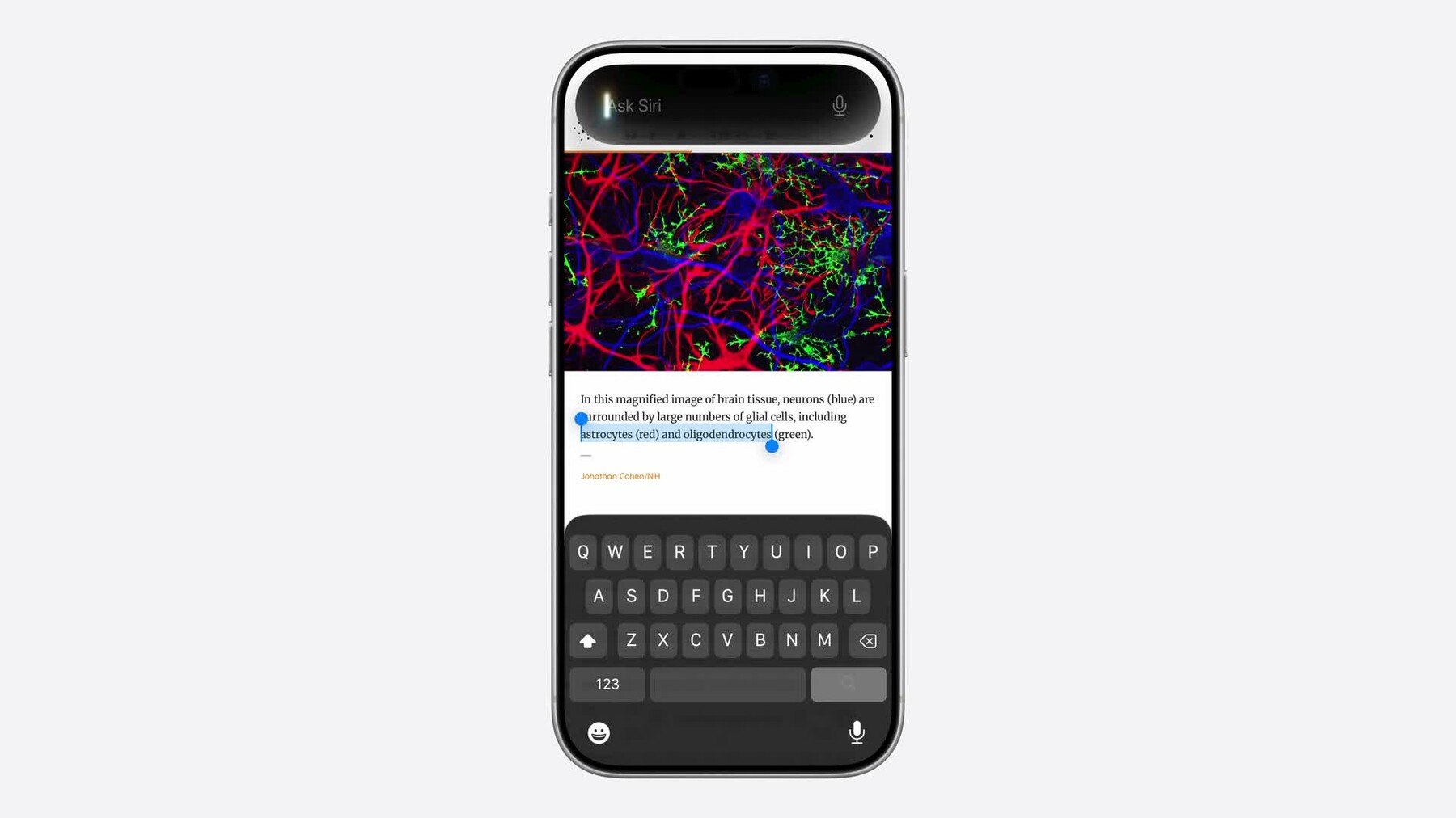 WWDC26 UIKit screenshot showing Ask Siri over an iPhone app
